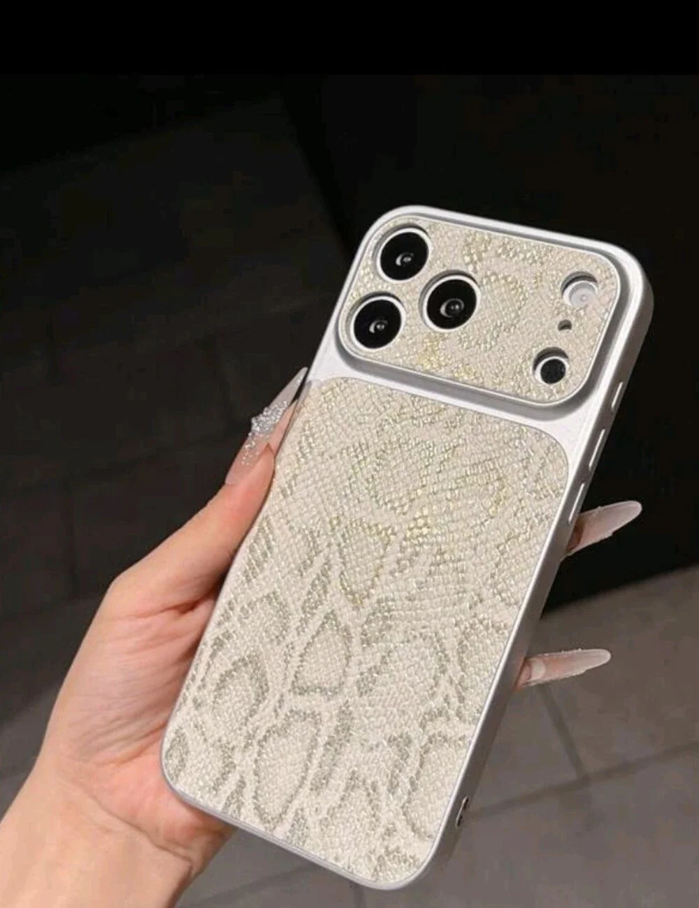 IPhone 17 Snake-Pattern Reptile Phone Case - Cream Silver